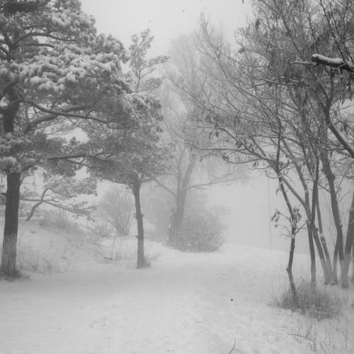 Photo #8988622