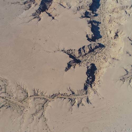 Photo #8988982