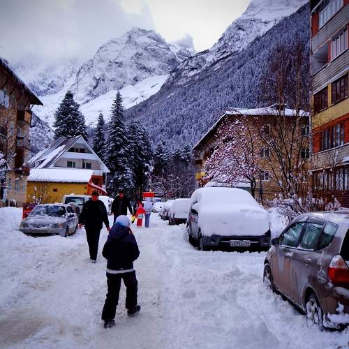 Photo #8989631