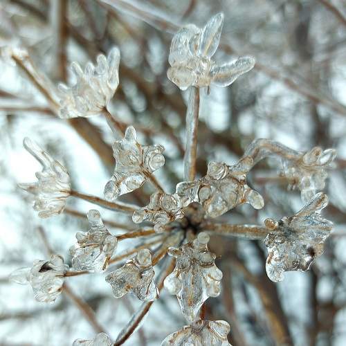 Photo #8989703