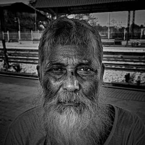 Old man potrait