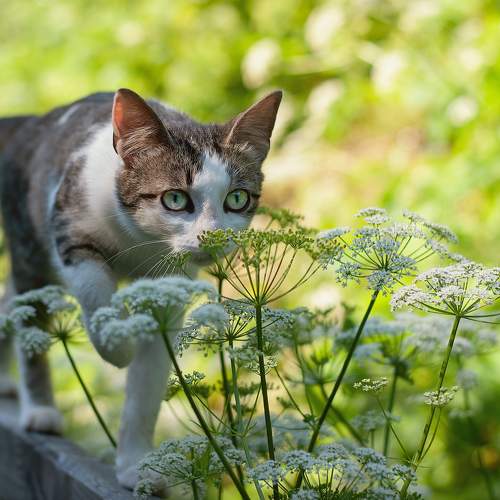 Photo #8989858