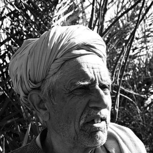 Local farmer