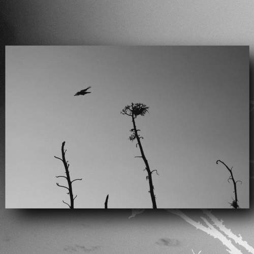 Photo #8990002