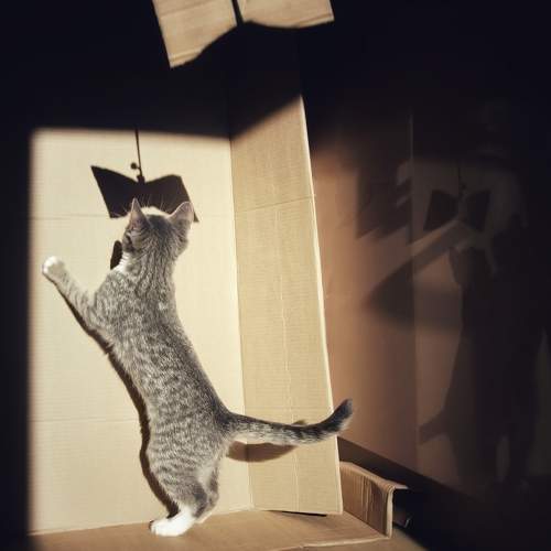 Фотография #8990103