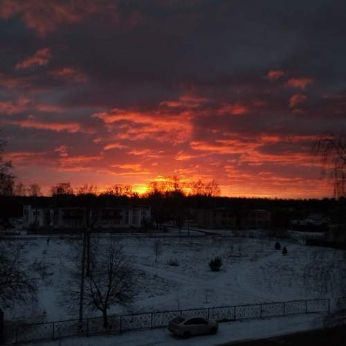 Photo #8990242
