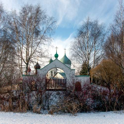 Photo #8990253