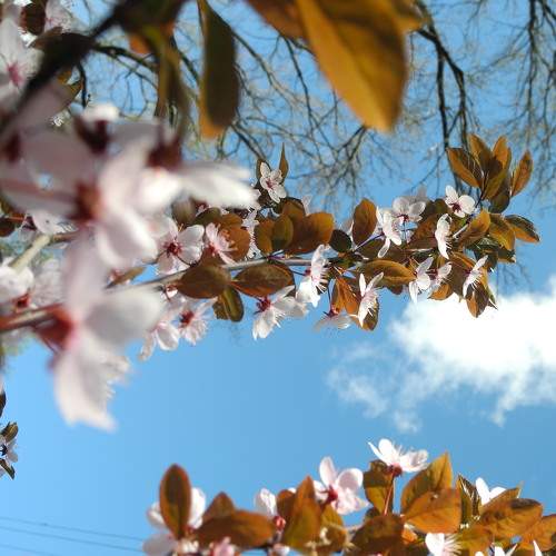 Photo #8990371
