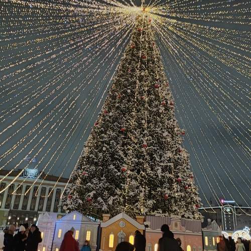 Photo #8990394