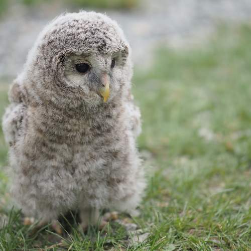 Photo #8990405