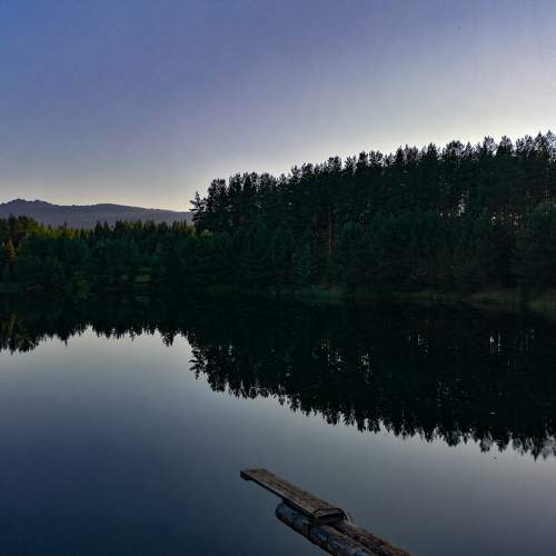 Photo #8990593