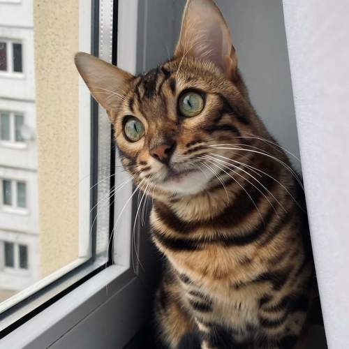 Photo #8990657
