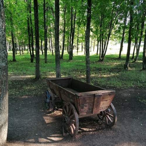Photo #8990777