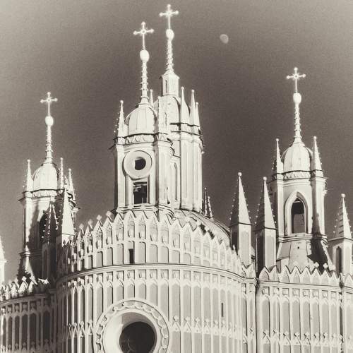 Photo #8990816