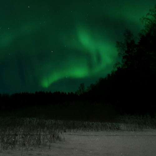 Photo #8990818