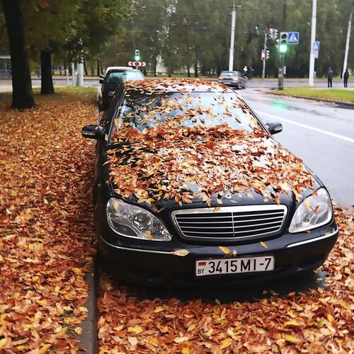 Photo #8990893