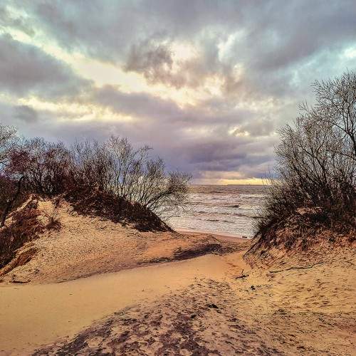 Photo #8990903