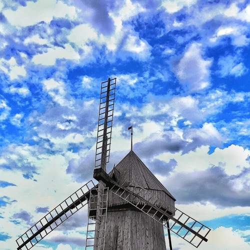 Photo #8991001