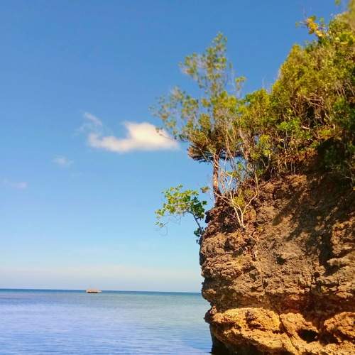 Photo #8991200