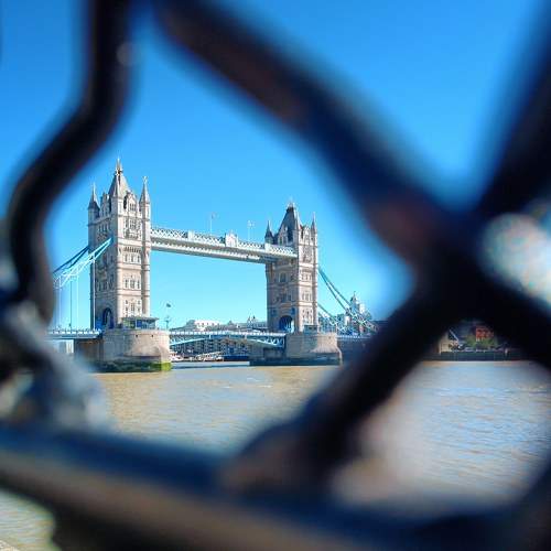 Photo #8991400