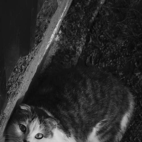 Photo #8991405