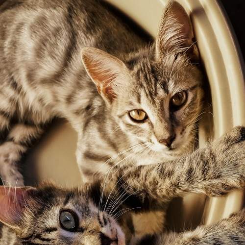 Photo #8991406