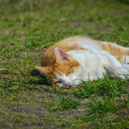 Photo #8991464