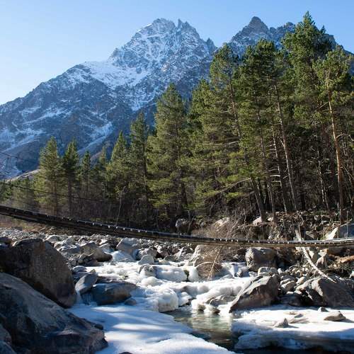 Photo #8991469