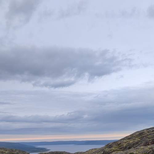 Photo #8991471