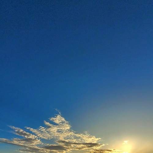 Photo #8991606
