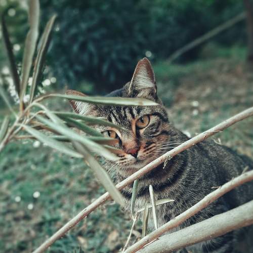 Photo #8991614
