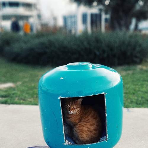 Photo #8991615