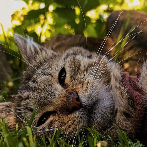 Photo #8991659