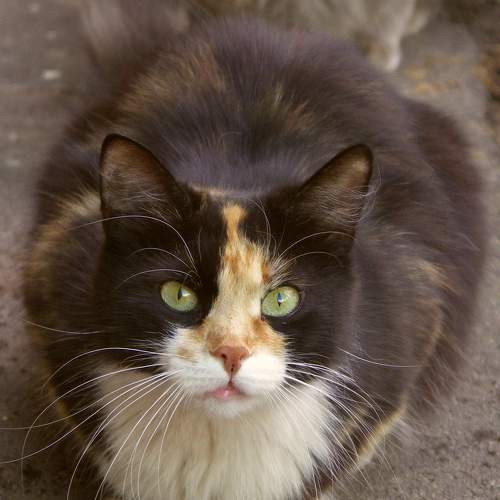 Photo #8991960