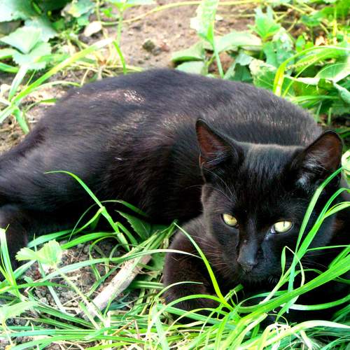 Photo #8991962