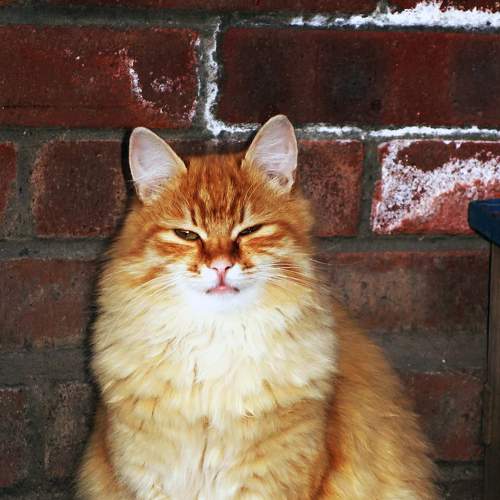 Photo #8991979