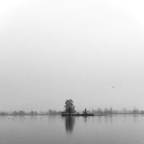 Photo #8992282