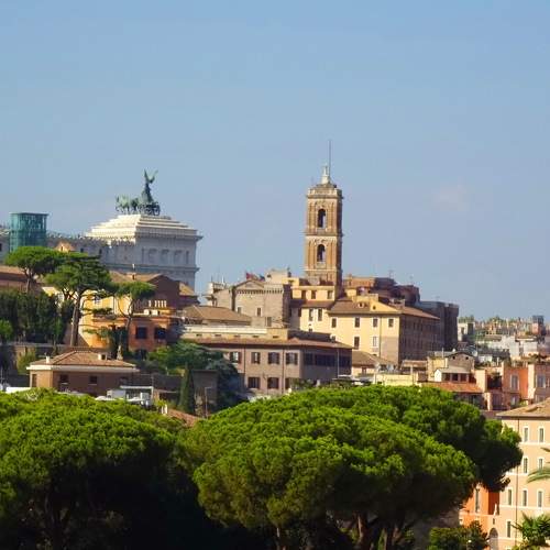 Photo #8992528