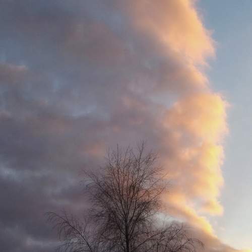 Photo #8992546