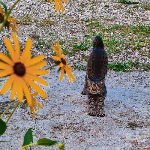 Photo #8992676