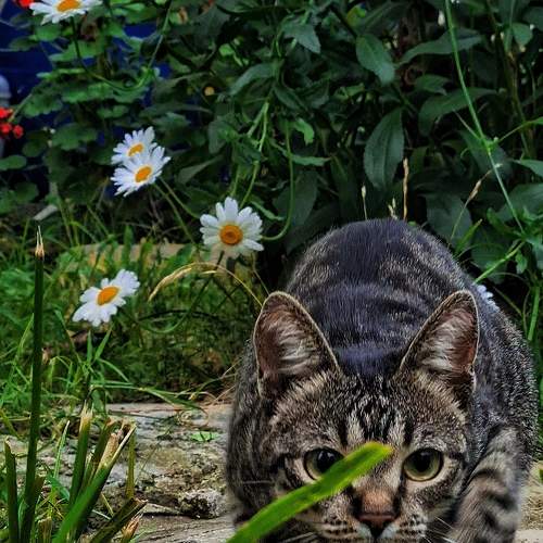 Photo #8992677