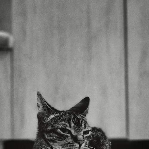 Photo #8992678