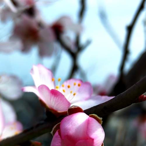 Photo #8992693