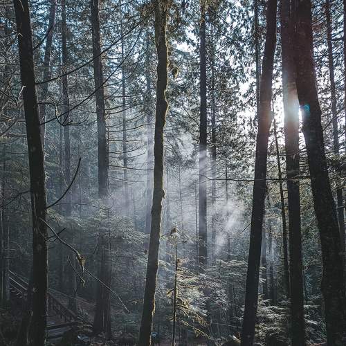 Photo #8993030