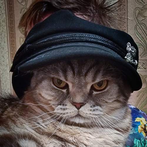 Photo #8993406