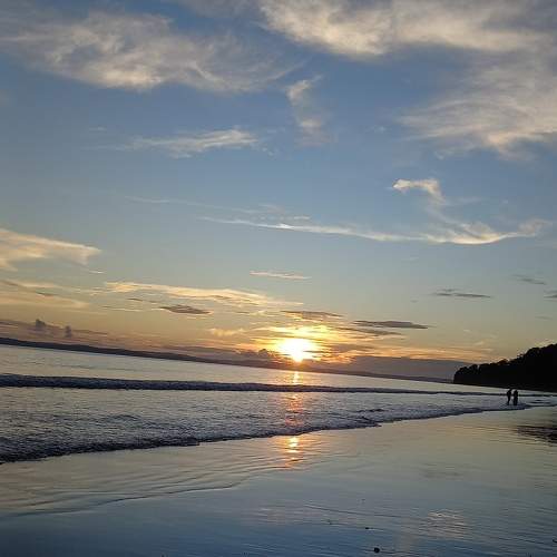 Photo #8993535