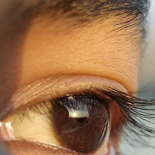 Photo #8993564