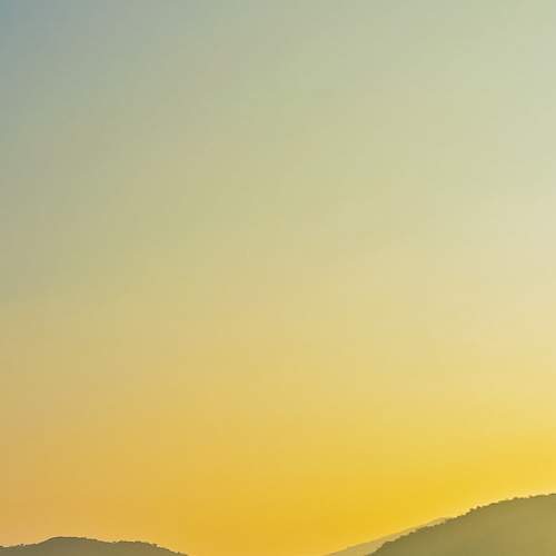 Photo #8993616