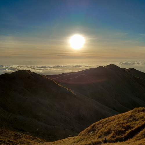 Photo #8993666