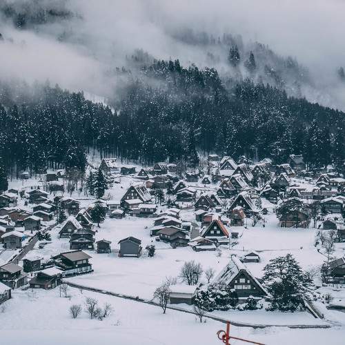 Photo #8993702